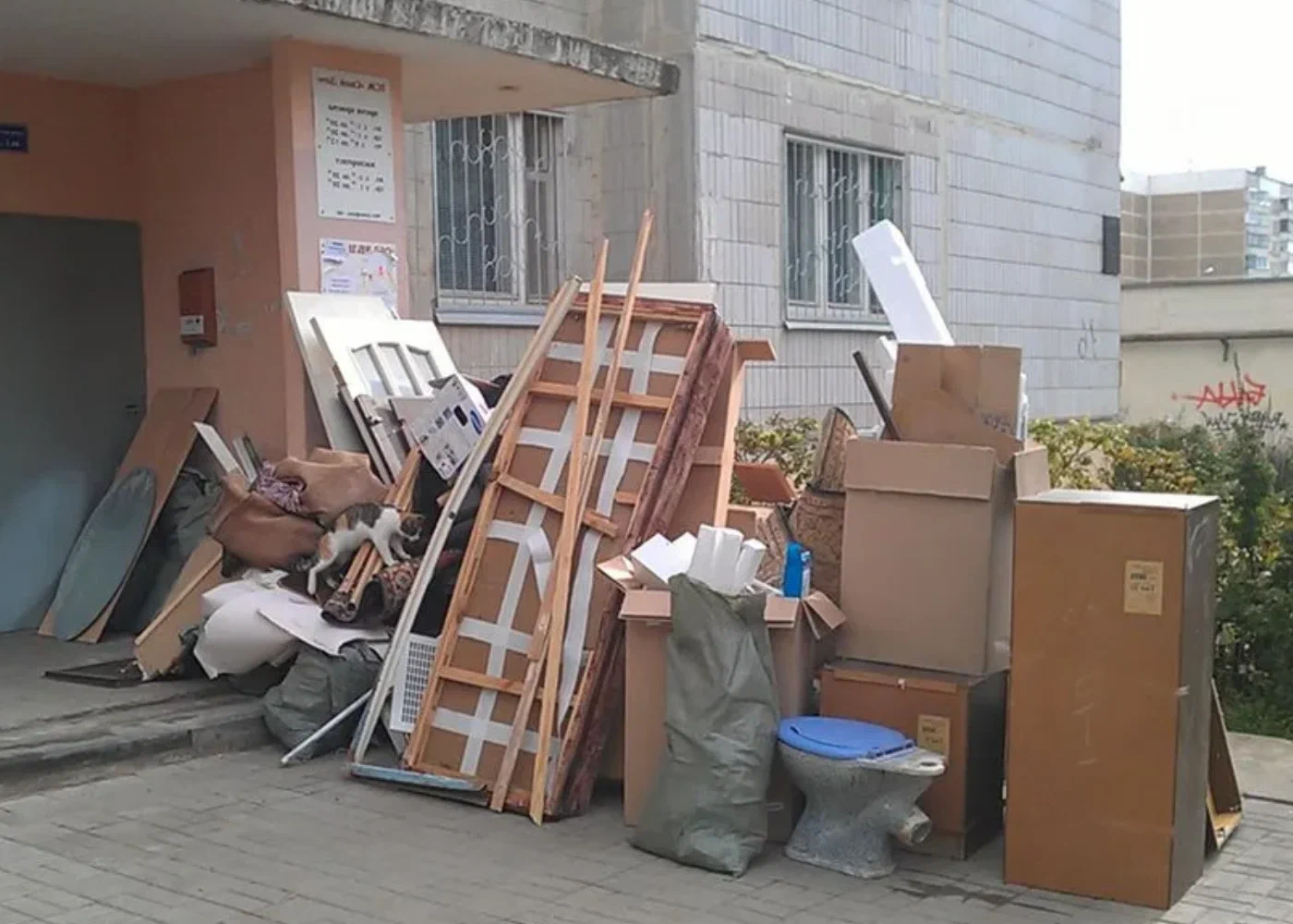 Профессиональный вывоз мусора из квартиры в Донском в октябре