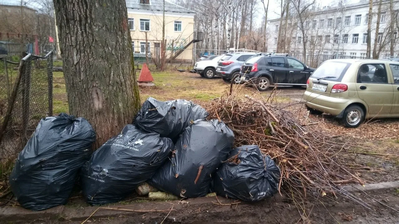 Вывоз мусора после субботника в Донском от ПроМусор – уборка и утилизация отходов от 2381 руб