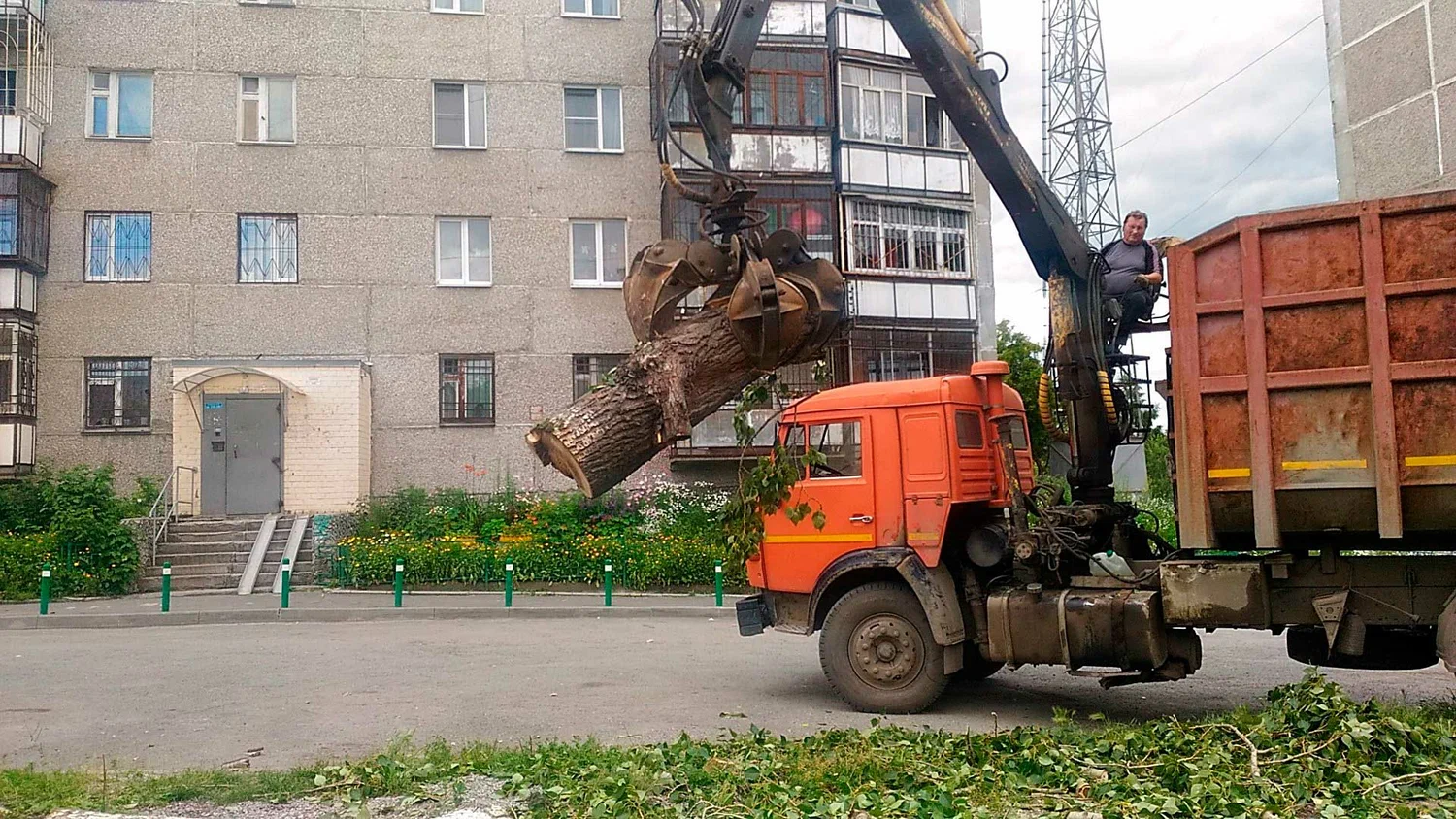 Вывоз спиленных веток и деревьев в Донском от ПроМусор: порубочные остатки, утилизация, цена от 2938 руб