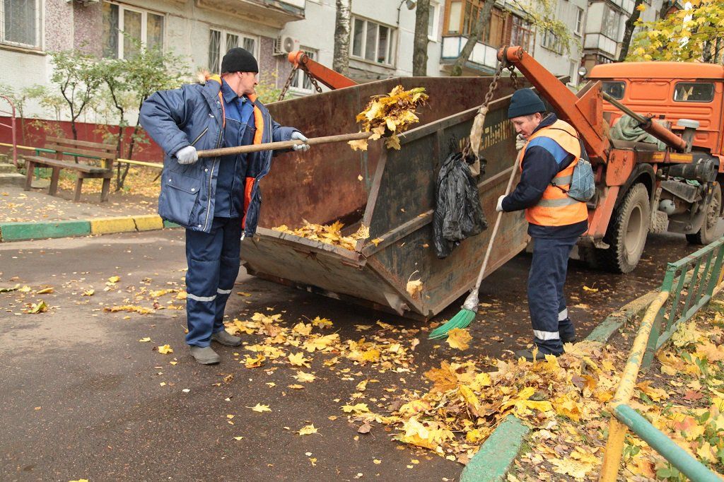 Вывоз опавшей листвы и растительного мусора в Донском от ПроМусор – цена от 4559 руб., быстрая уборка и утилизация
